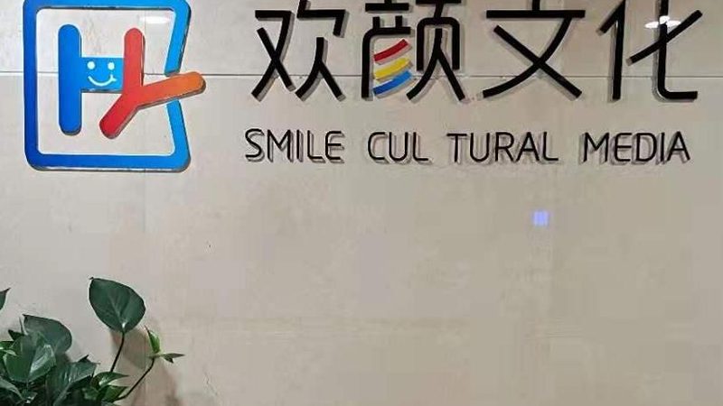 🎥微纪录片制作：揭秘微纪录片拍摄制作公司的核心要素